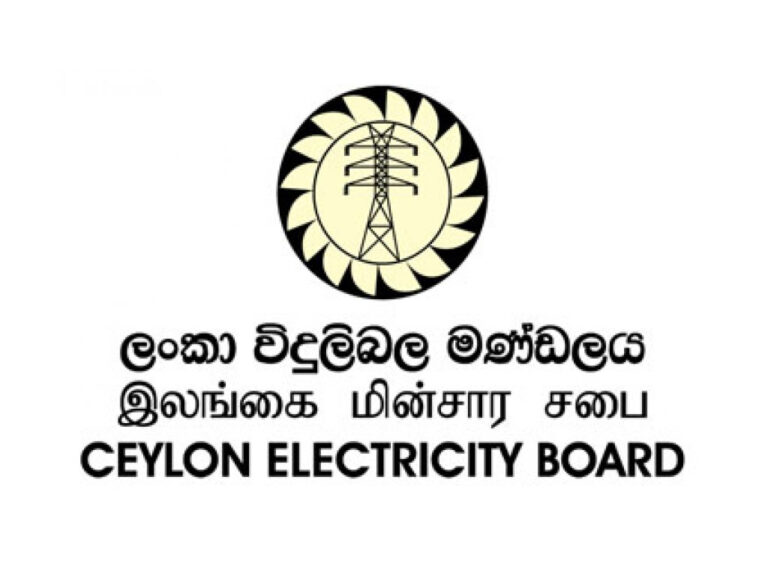 How To Check CEB Electricity Bill Online: Tutorial